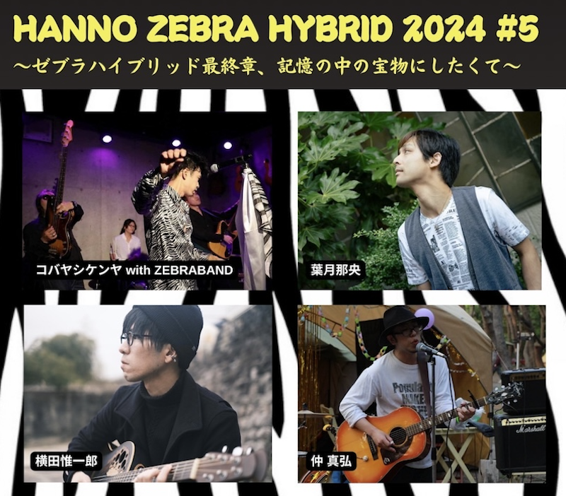 zebra20240916