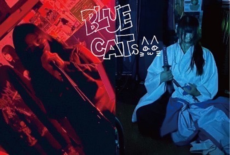 bluecats